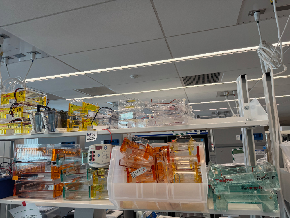 Image of Electrophoresis Equipment